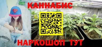 прущие грибы Сланцы