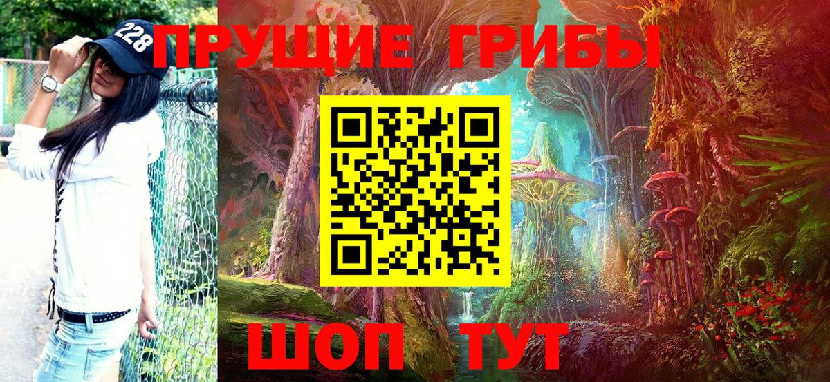 Галлюциногенные грибы прущие грибы  Псилоцибиновые грибы Psilocybe  Вход с VPN  Дальнегорск 